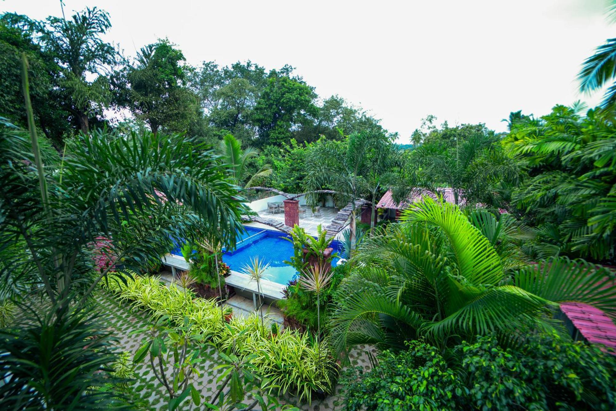 Hola Amigos Stays Anjuna Exterior foto